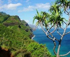 Tropical island in Hawaii