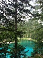 Green Lake in a forest