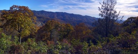 panoramic view of blue ridge parkway on a sunny day