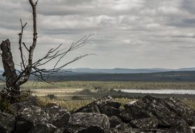 Lapland Valley Panorama