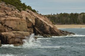 coastline in the acadia national park