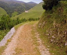 Trail Hiking green Mountain view