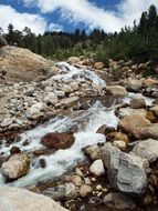 Beautiful creek among stones and green trees in a national park in Colorado