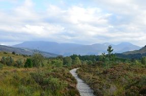 walk path in scenic Landscape with distant mountains