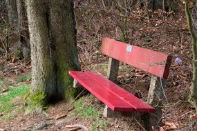 red wooden bench near a tree