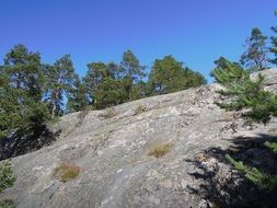 Landscape with beautiful Finnish rock with colorful plants