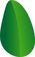 painted bright green leaf on a white background
