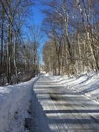 winter road in the forest for cars