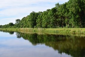 Silence on a river in a forest
