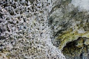 form in structural geology