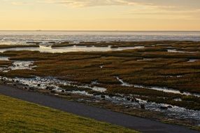 Terschelling in Netherlands