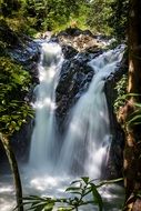 waterfall in the rainforest