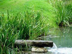 picturesque and pretty Pond