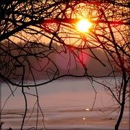 sun at sunset behind tree branches near a lake