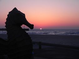 silhouette of a sea horse