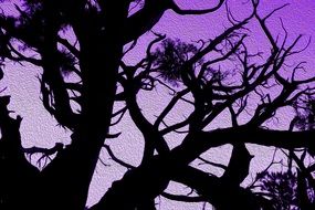Purple sunset and trees
