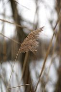 bank dry autumn grass