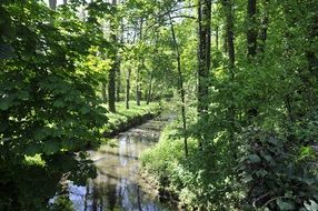 delightful River Water