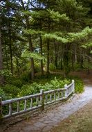 wooden fence along the path in the park