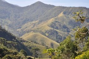 Nature Green Serra