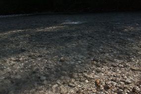 Mountain Creek, clear water Streaming above pebbles, Austria