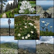 collage of photos of the top of the mountain