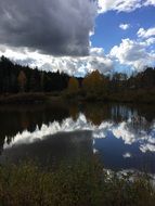 forest lake under cumulus clouds