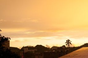 Sunlight Bright tropical landscape