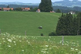 Tractor Landscape