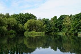 picturesque summer Nature