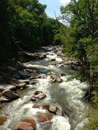 stunningly beautiful Dupont Forest River