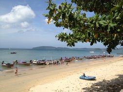 Summer beach in Thailand