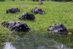 stones in the water among green grass