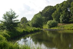 Lake at forest, summer Landscape