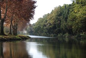 Landscape with green water in the autumn park