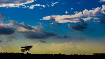 Colorful Afternoon Sky above the beautiful landscape with the plants