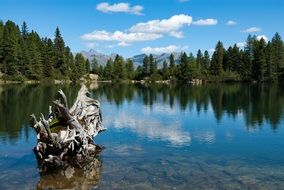 Bergsee Summer