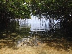 sandy beach near the river