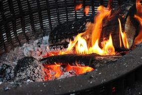 Burning wood in Camping Fire