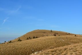 Mountain Green Grass