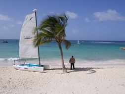 sailing Boat on Sand Beach and man beneath palm tree looking at Water