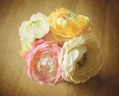 delightful beauty Roses Flowers
