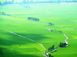 aerial view of green spaces of Vietnam