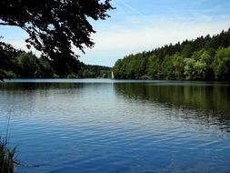 scenic lake in the wild forest