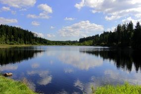 white clouds are reflected in the forest lake