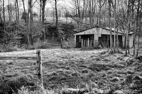 monochrome picture of a forest barn