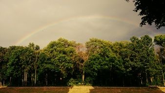 rainbow on a gray sky over a forest in Saxony