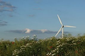 wind turbine in Denmark