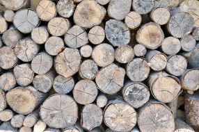 big Firewood Stacks