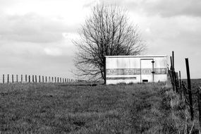 barn on field, black and white